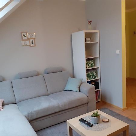 Apartament Kaktus Mrągowo Zewnętrze zdjęcie