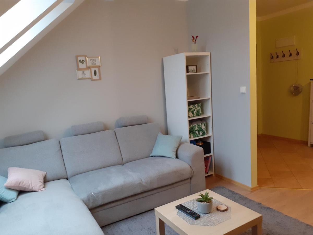 Apartament Kaktus Mrągowo Zewnętrze zdjęcie