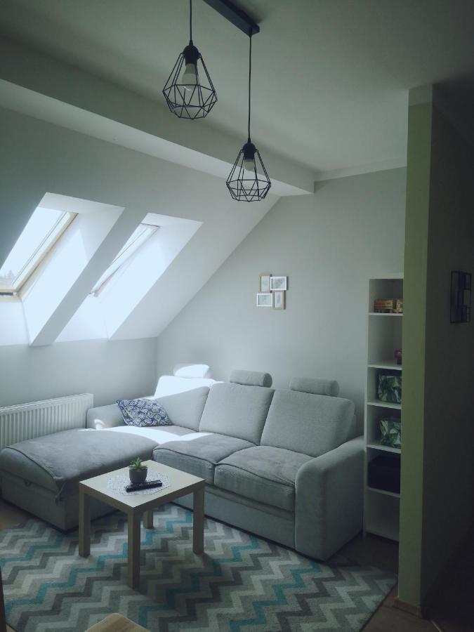 Apartament Kaktus Mrągowo Zewnętrze zdjęcie